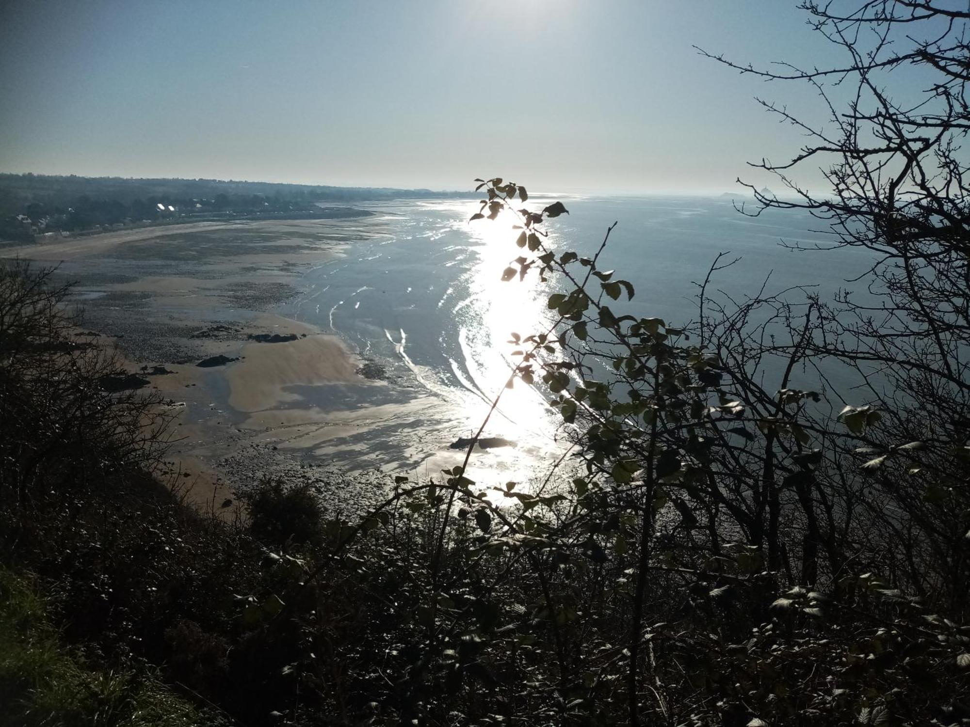 La Campagne Au Bord De La Mer, Chambre Chez L'Habitant Champeaux Dış mekan fotoğraf